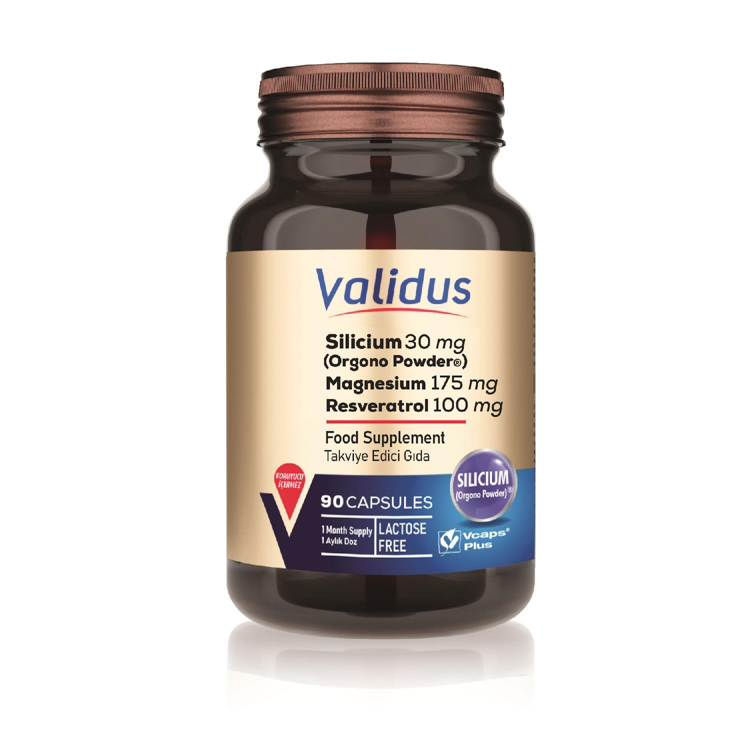 Validus Food Supplements Silicium 90 Capsules
